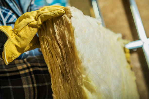 Best Attic Insulation Installation  in Cleveland, AL