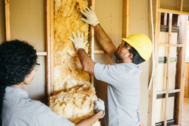 Professional Insulation Contractor in Cleveland, AL