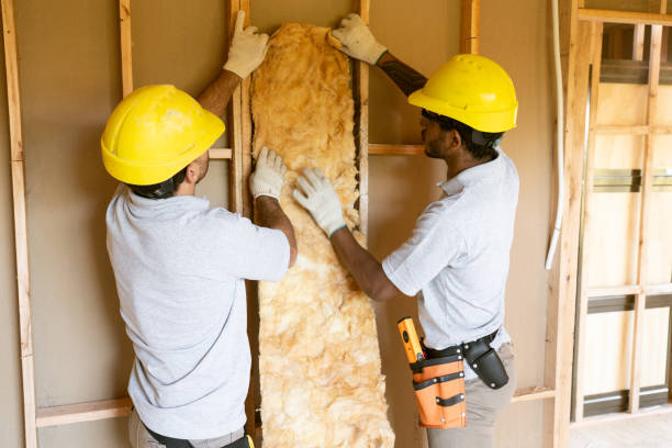 Best Insulation Replacement Services  in Cleveland, AL